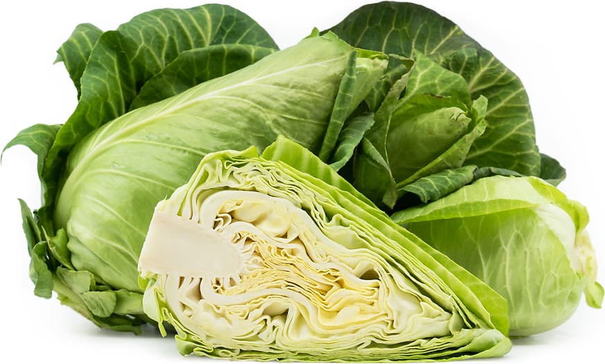 Green cone cabbage cut in half