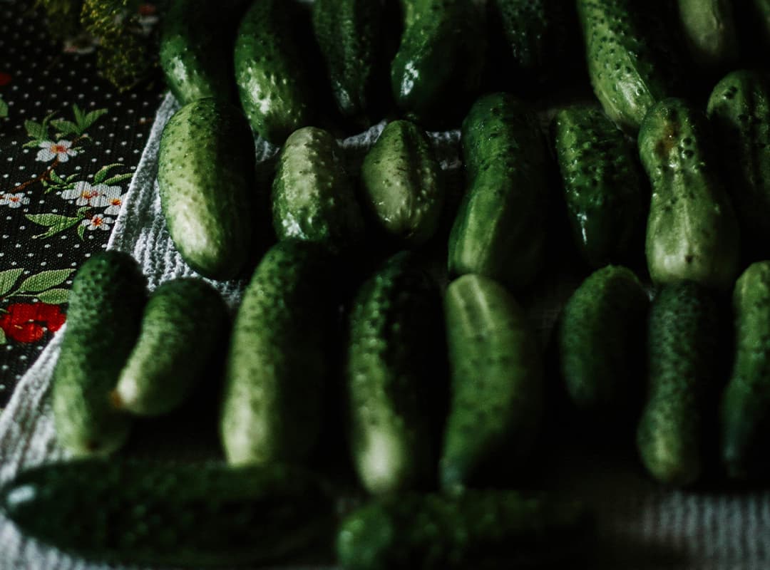 cucumbers