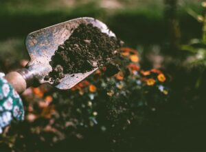 ground