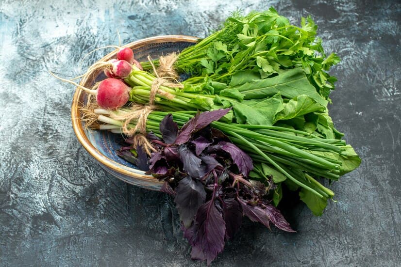 Fresh Greens with Radish on Dark-Light Background
